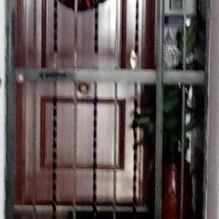 Shared Accommodation A Room With A View Of The Garden Sevilla Exteriér fotografie